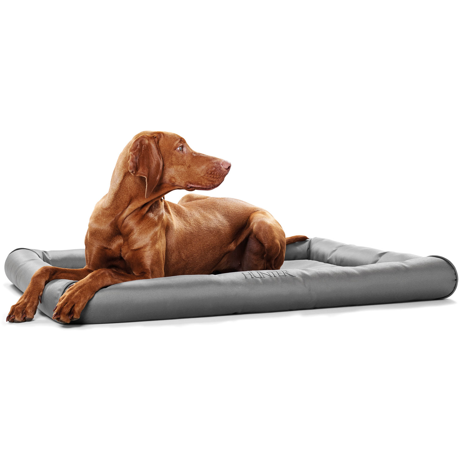 Hundematte Vermont XS (60 x 40 x 5,5 cm), grau