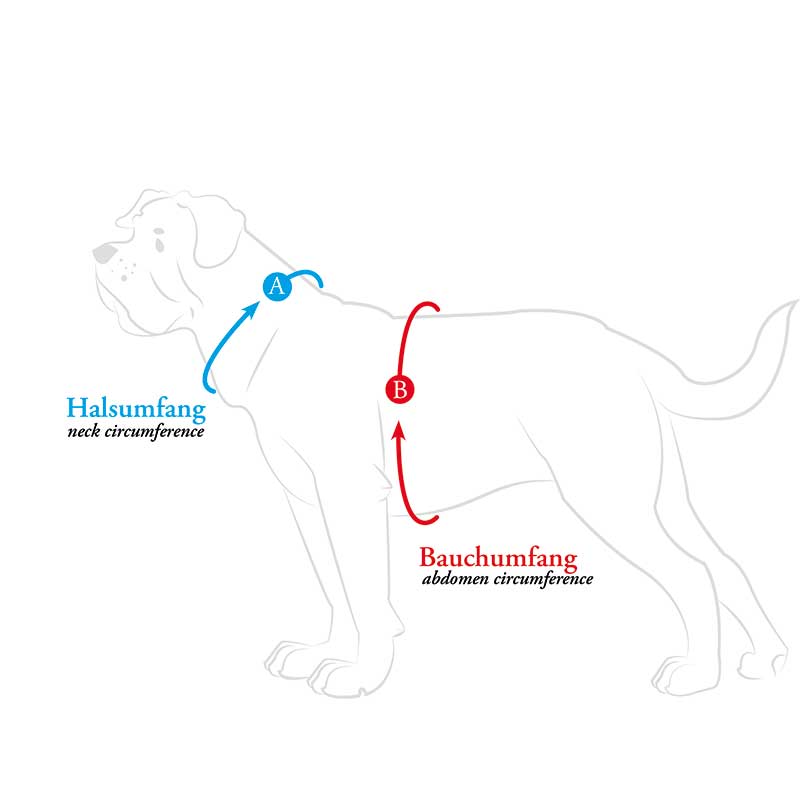 Messanleitung für Hundegeschirre